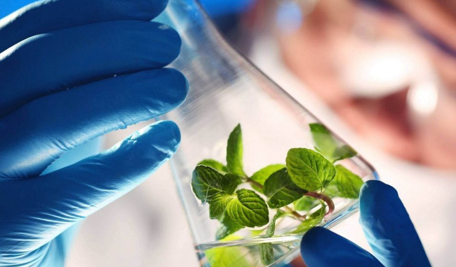 ПК Отраслевые биотехнологии и биоинженерия ДПО