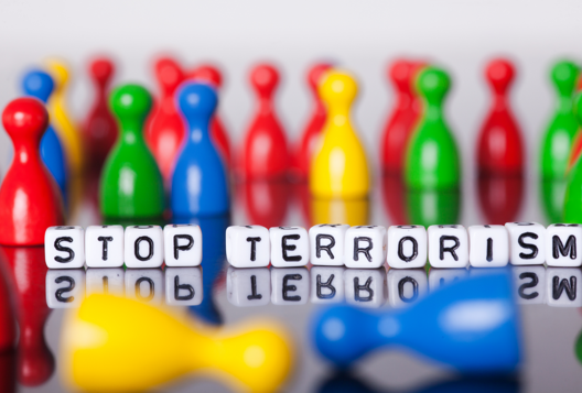 ПК Противодействие идеологии терроризма в образовательной и молодежной среде ДПО